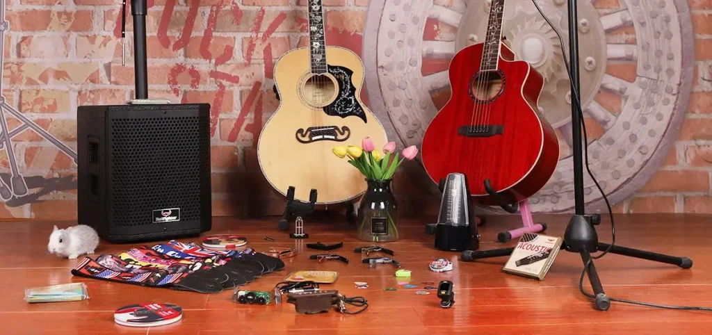 müzik ensturamanları ve aksesuarları