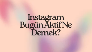 Instagram Bugün Aktif Ne Demek