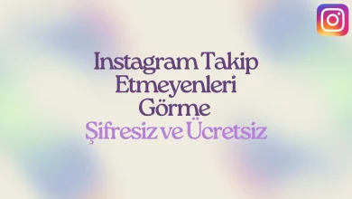 Instagram takip etmeyenleri görme